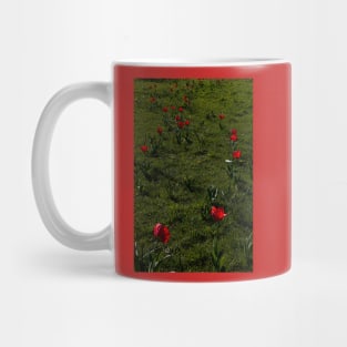 red shiny flowers Mug